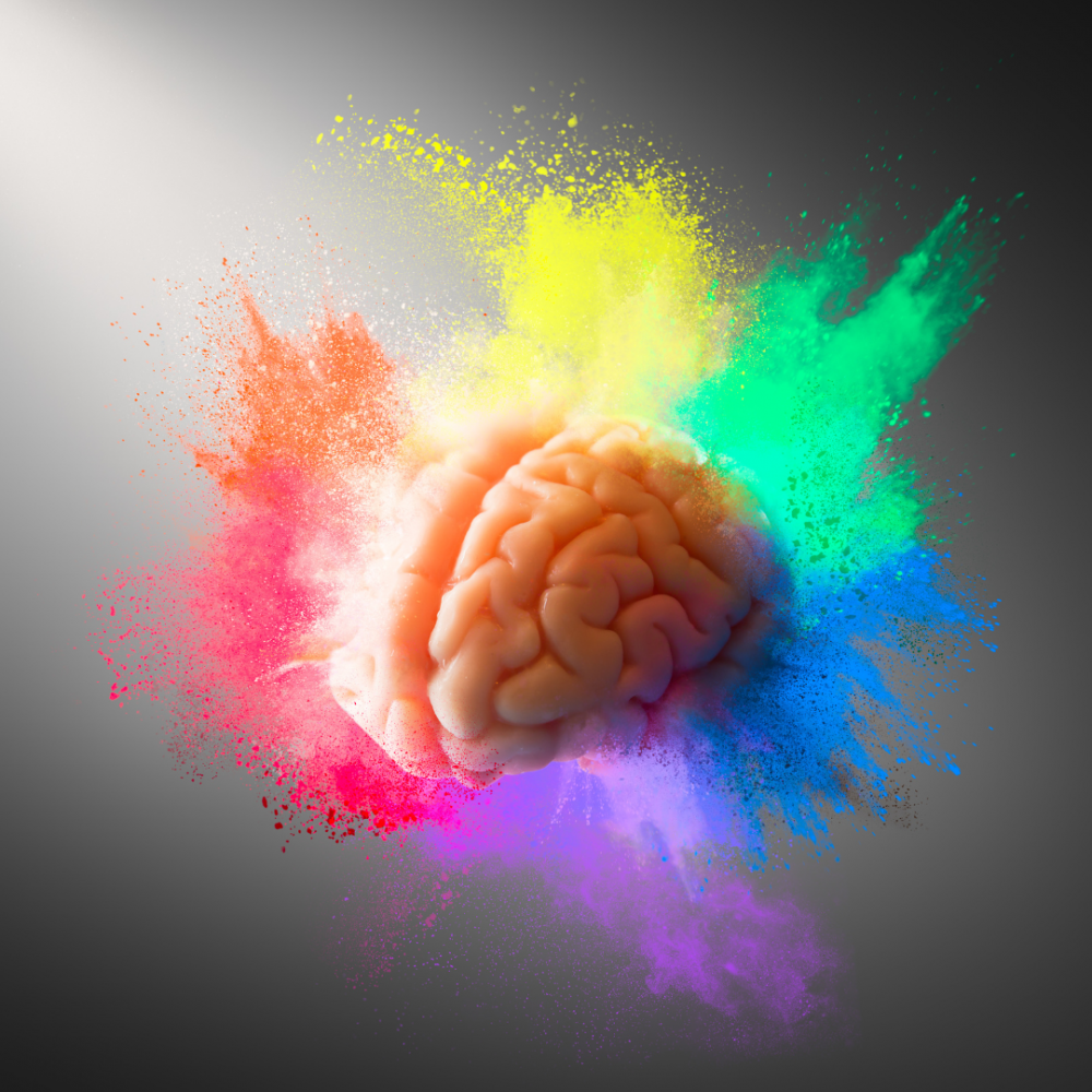 The Amazing Adolescent Brain