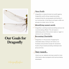 Dragonfly is One!