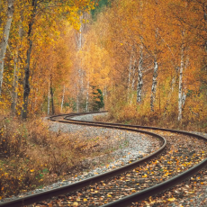 DBT for Adolescents Group at Dragonfly