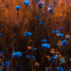 Conflict with your Teen? Learn All About the Power of Validation